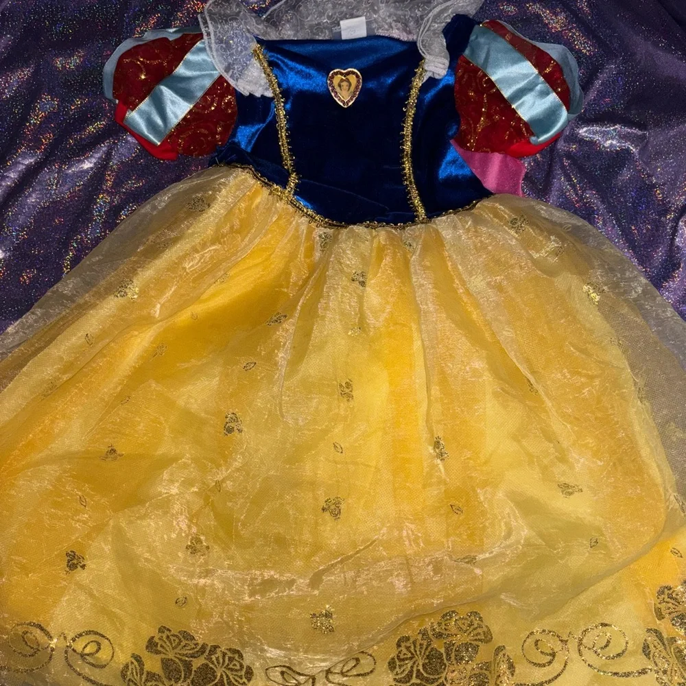 Disneyworld Resort Snow White Costume